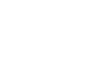 Jewel Image